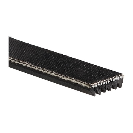 Gates V-Ribbed Belt Serpentine Belt, 2Pj800 2PJ800